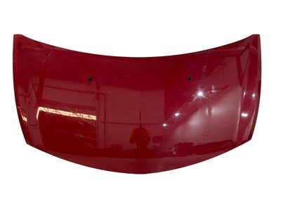 Capo RENAULT CLIO III Exception