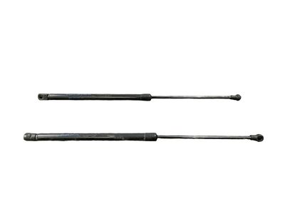 Amortiguadores maletero / porton NISSAN QASHQAI