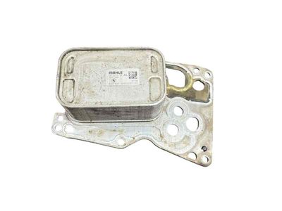 Enfriador aceite motor BMW