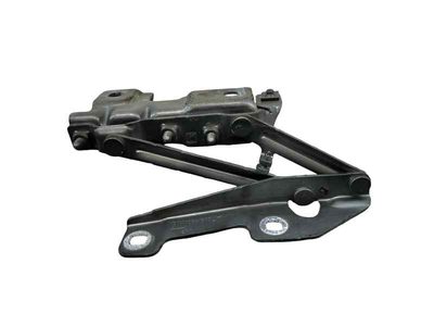 Bisagra capo izquierda OPEL INSIGNIA BERLINA 2.0 16V CDTI 160 CV